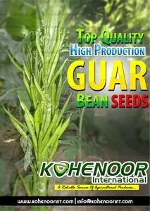 Guar Seeds for sowing