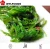 Import HACCP KOSHER HALAL FDA SEDEX BSCI quality wholesale China IQF frozen seaweed salad from China