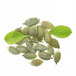 Halal Certificate China New Crop Snow White Pumpkin Seed Kernels Wholesale