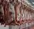 Import Halal Frozen Beef Meat, halal beef, halal fresh beef meat from United Kingdom