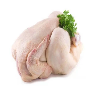 Halal Frozen Whole Chicken / Feet / Paws / Leg / Breasts