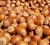 Import Hazelnuts from Uganda