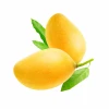HEALTH FOOD SOFT DRIED MANGO  WITHOUT COLORANTS , ODORANTS, PRESERVATIVES FROM VIETNAM