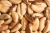 Import Healthy Amazon Forest Product Large Size Antioxidants Raw Organic Brazil Nut from Brazil