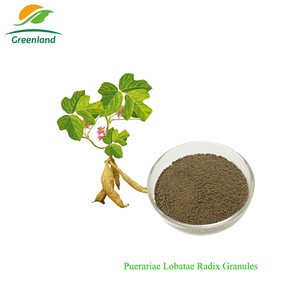 Herbal Traditional Chinese Medicine Pueraria Lobata Radix Kudzuvine Root Granules Formula