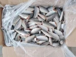 HGT Horse Mackerel Seafood For Food Canned