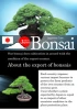 High quality and Professional home & garden japanese BONSAI with Eco-friendly made in Japan