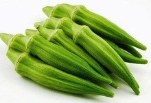 HIGH QUALITY - COMPETITIVE PRICE-FRESH OKRA
