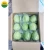 Import HIGH QUALITY FRESH GUAVA FROM VIETNAM WITH GOOD PRICE from Vietnam