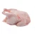 Import High quality fresh or frozen meat chicken from Ukraine