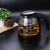 Import High quality gift box cup set tea kettle bpa free coffee pot glass moroccan tea pot with tea strainer from China