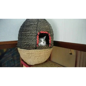 High quality Japan pet supplies cat for export