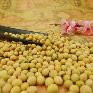high quality non-gmo bulk dried yellow soybean seed factory price Small package