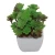 Import High quality succulent plants artificial plants wholesale from China