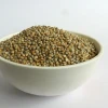 High Quality Yellow White Broom Corn Millet/Millet Seed.