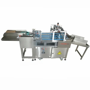 High  speed automatic feeder feeder packaging machine with TTO date coding printer