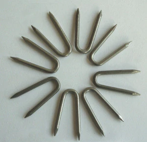 hoop staples/U type nails factory