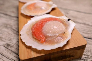 Hot sale fresh frozen half shell sea scallop with roe