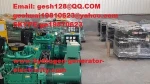 HYDROGEN NATURAL GASCNG   FUEL ENGINE FOR GENERATOR SET WHEEL LOADER EXCAVATOR PUMP & PRODUCT LINE