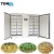 Import Hydroponics bean sprout machine 100 kg/day from China
