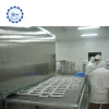 Ice cream fast fish freezing tunnel industrial freezer price