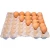 Import Incubator OEM Size Biodegradable Recycled Paper Egg Tray Factory from China