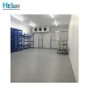Industrial customized blast freezer deep cooling ice cream cold room