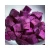 Import IQF Bulk Cheap Frozen Lozenge Vegetable Cut Purple Sweet Potato Vegetables For Agency Cooperate from China