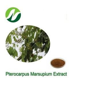 ISO Certified Pterocarpus Marsupium Extract