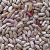 Kidney beans in bengali from iran alva aluminium limited