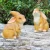 Import Landscape home decoration pieces luxury resin statue gifts crafts from China