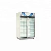 Large soft drink dc 12v/24v solar fridge cooler