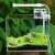 Import LED Fish Tank Light With Cleaner Acrylic Small Aquarium Wholesale from China