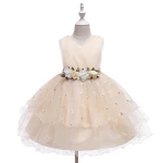 Little Girls Sleeveless Tulle Holiday Christmas Thanksgiving Flower Girl Dress