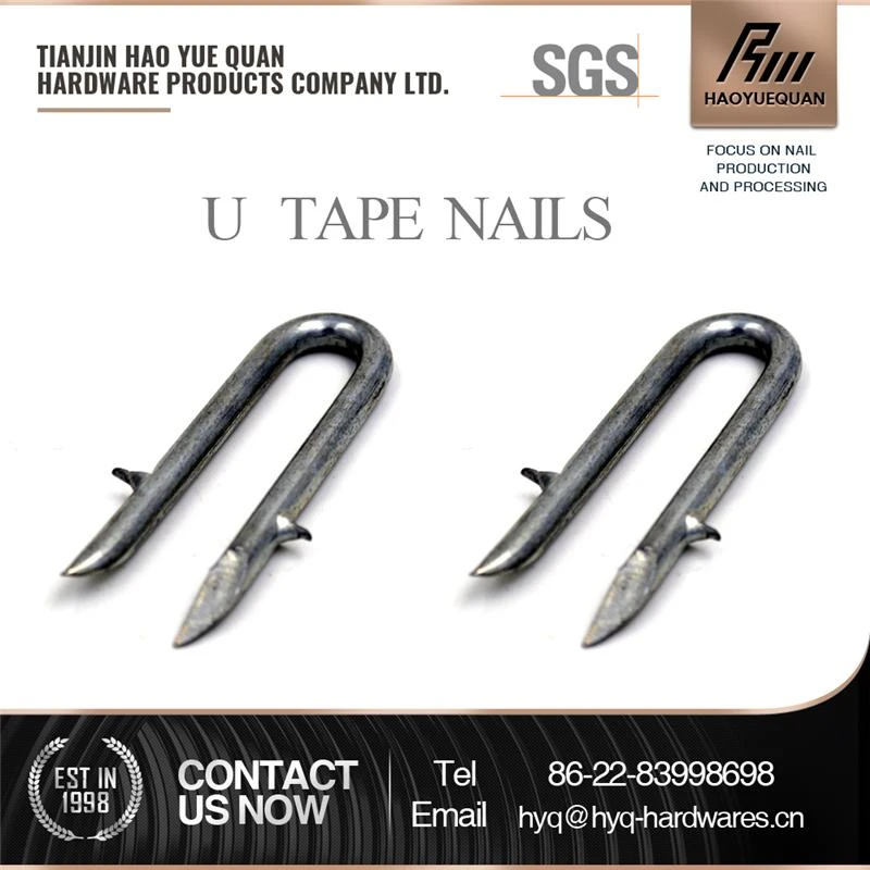 low price china nail u-shaped staples Black landscape staple/ turf pin/ turf nail