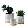 Marble pattern Flower pot round ceramic Nordic simple fashion personality INS style gold with tray