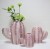 Import Modern glazed ceramic porcelain cactus pots cactus vase from China