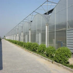 Multi span film greenhouse easy to install pe protective plastic film greenhouse