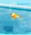 Import New Arrival Cat Toy Best-selling Electric Swimming Fish Interactive Toy from China