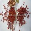 New crop dried Xinjiang Goji berry best price
