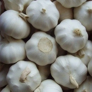 New Crop Garlic Chinese fresh garlic white garlic price