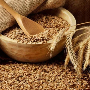 New Crop Soft Wheat, Barley Grains for Consumption