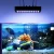 Import New Idea programmable led aeroponics lights reef coral lighting 165W led aquarium light for freshwater fish and aquatic plant from China