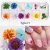 New Pressed Dry Flowers Nail Art 3D Natural Real Dried Flowers For Nails Decoration Wholesale Suppliers