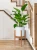 Import New Solid Wood Plant Stand Mid-century Modern Potted Plant Holder For Indoor Outdoor Planter Flower from China