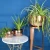 Import New Style High Quality Brass India Planters Style Vase from India