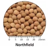 Northfield - Australian small red lentils