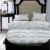 Import OEM Natural Comfort Classic White duvet in dubai luxury comforter alternative goose down duvet from China
