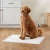 Import Oem Super Soft Breathable Pet Toilet Mat Quick-dry Disposable Puppy Pet Toilet Pee Training Pads For Dogs And Puppies from China