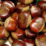 Organic fresh and dry chestnut wholesale